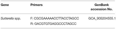 Detection of Sutterella spp. in Broiler Liver and Breast